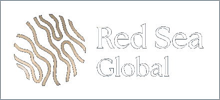 RSG Security eServices Logo